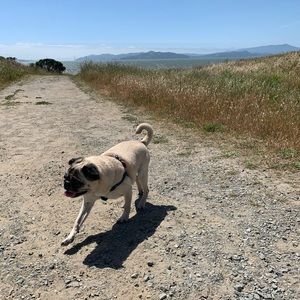 Meet your Posher, Richard